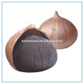 Chinese Black Garlic Seeds, China Black Garlic Extract